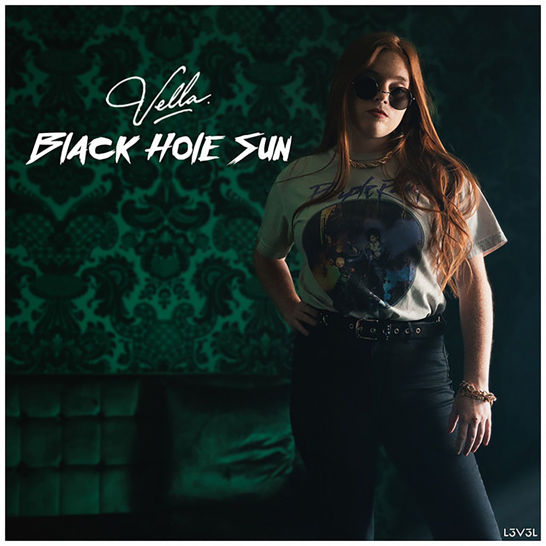Album cover of Black Hole Sun