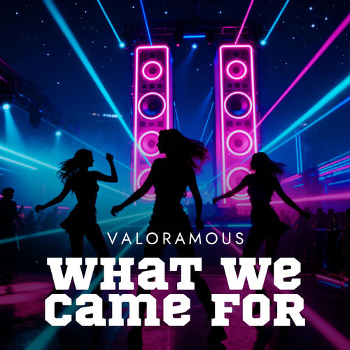 What We Came For