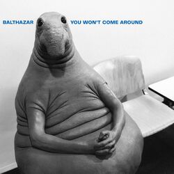 Cover of You Won't Come Around