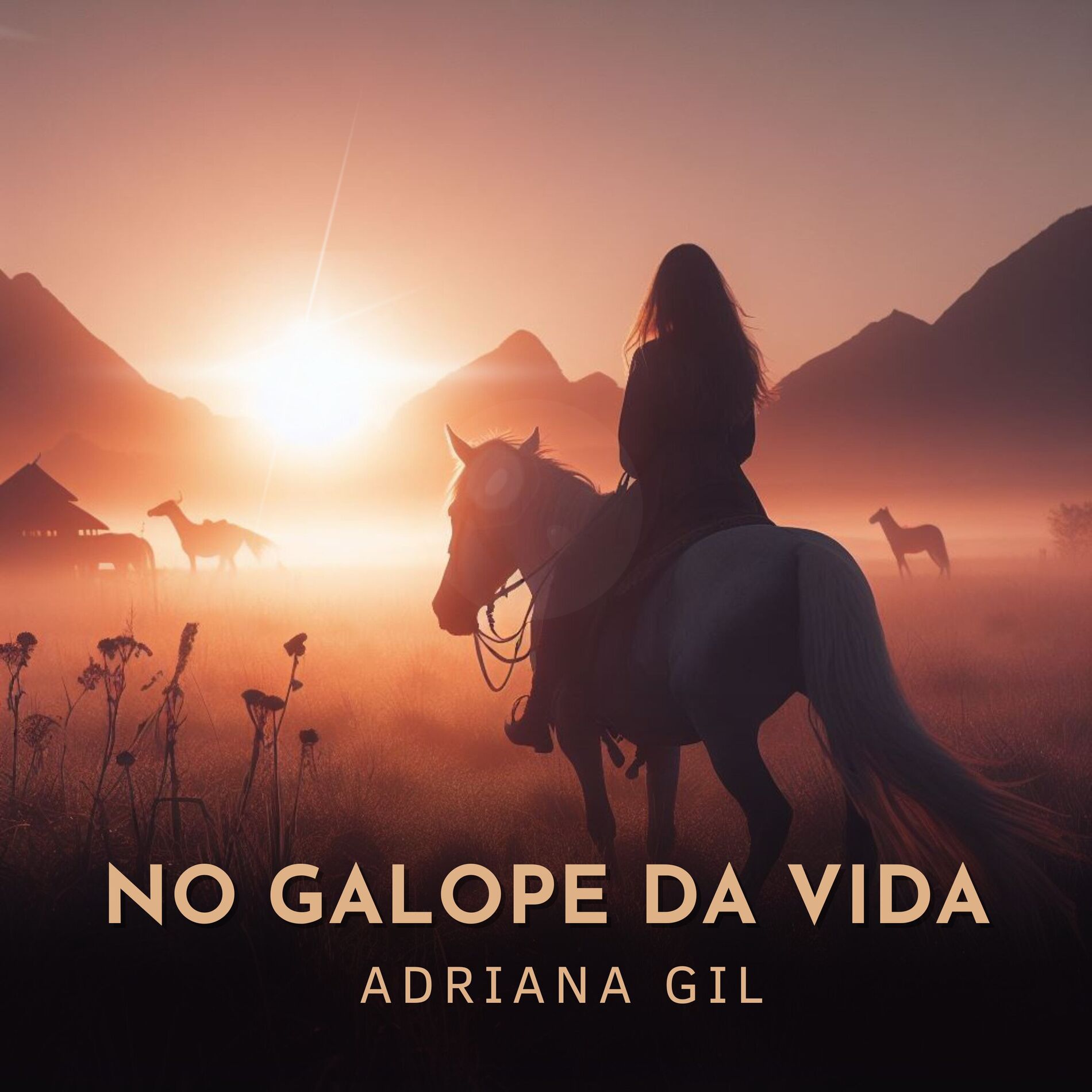 Album cover of No Galope da Vida