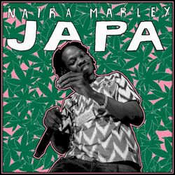 Cover of JAPA