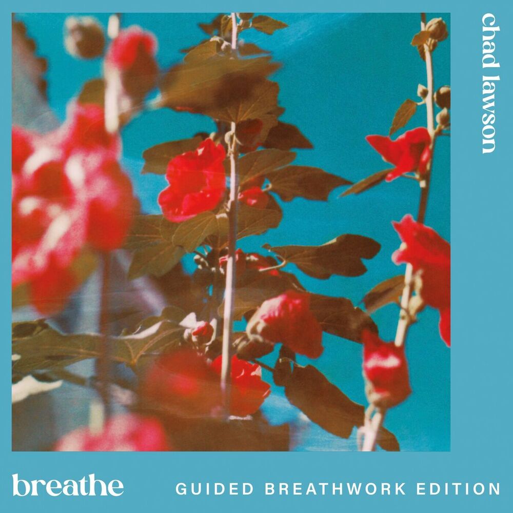Picture of breathe (guided breathwork edition)