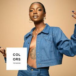 Cover of Wild Ride - A COLORS SHOW