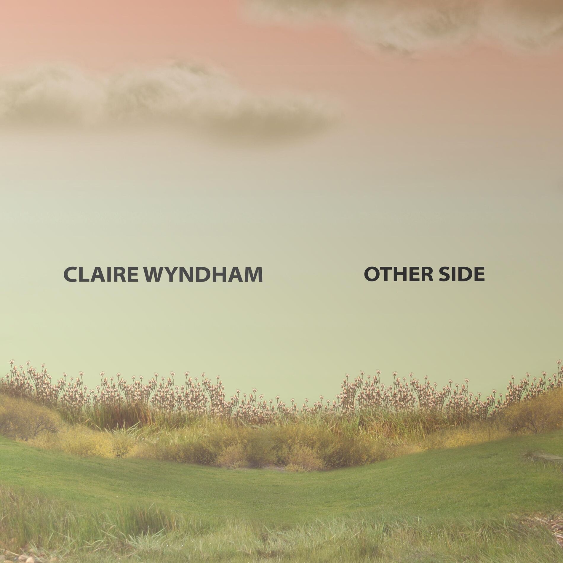 Album cover of Other Side