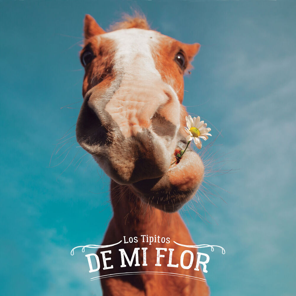 Picture of De Mi Flor