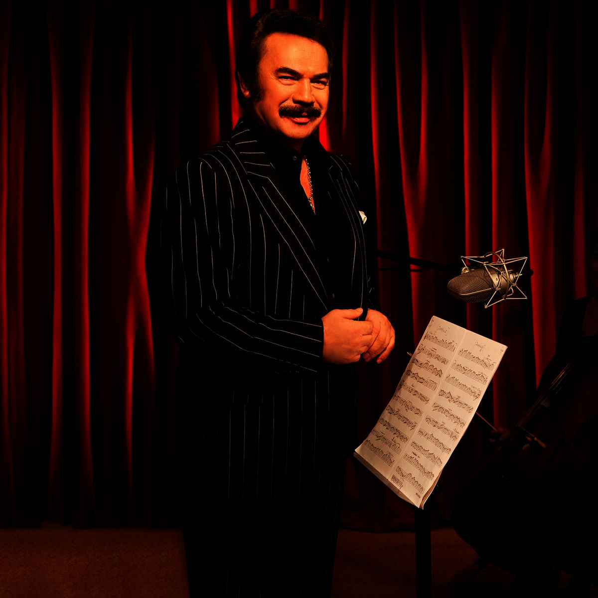 Album cover of Sevmeyi Bilmiyorlar