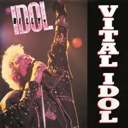 Cover of Vital Idol