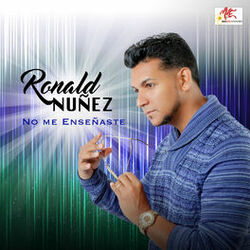 Cover of No Me Enseñaste