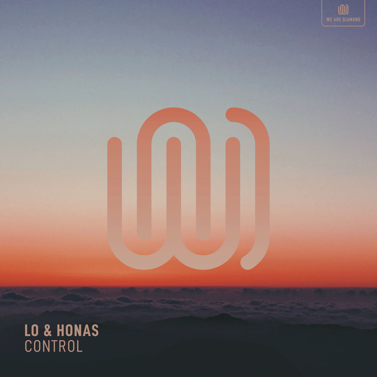 Album cover of Control