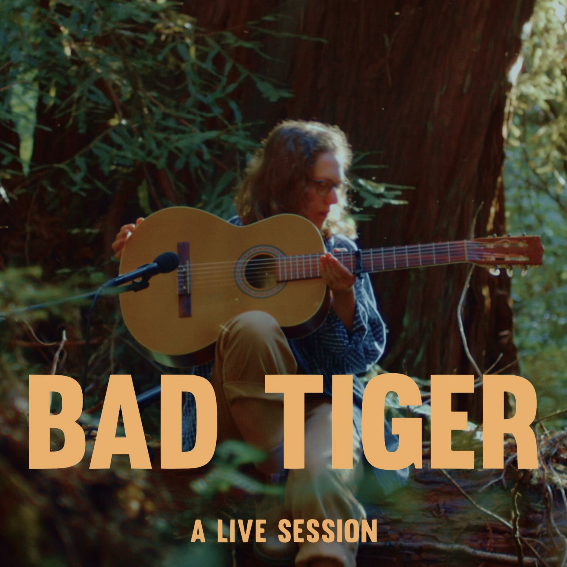 Album cover of Bad Tiger: Forest Session