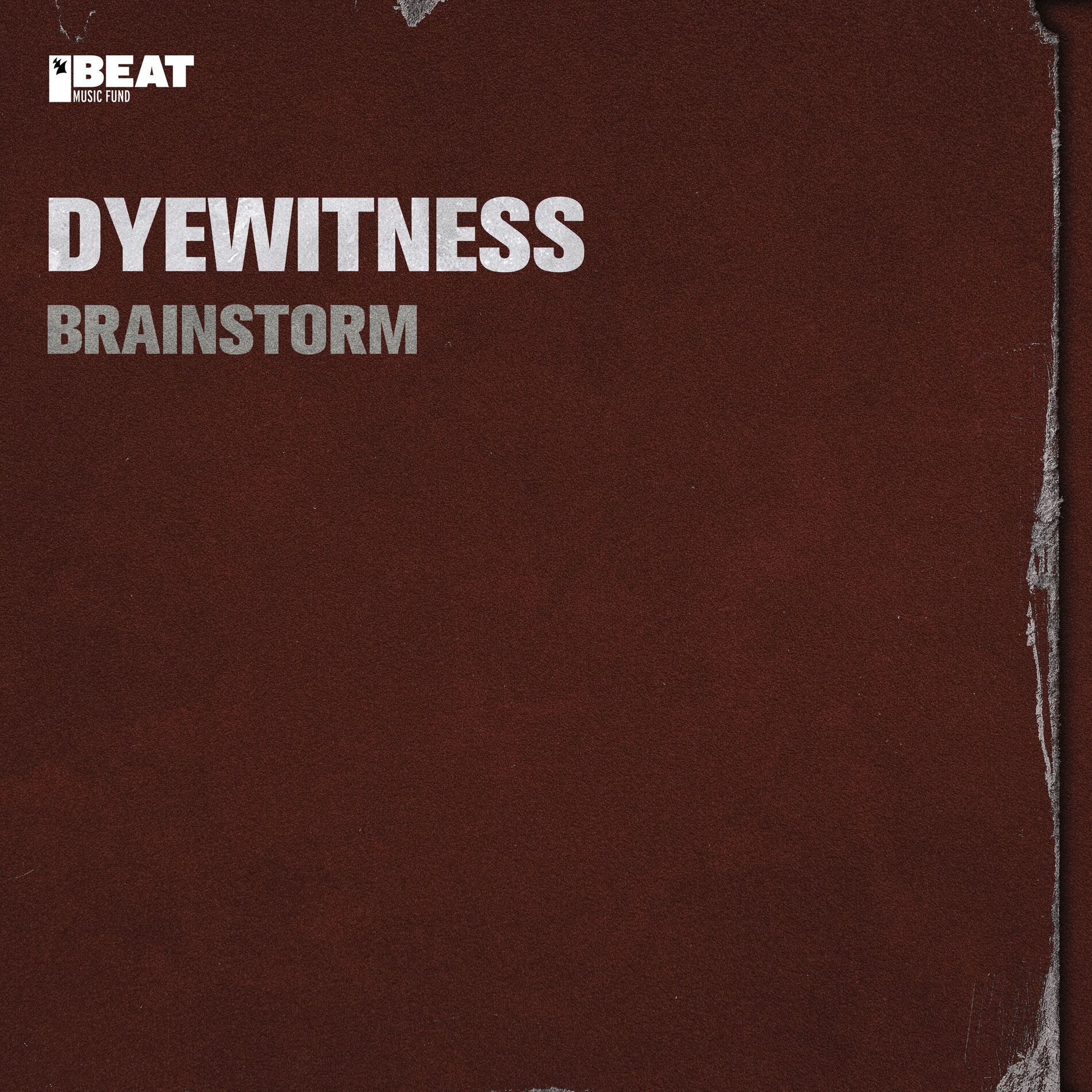 Album cover of Brainstorm