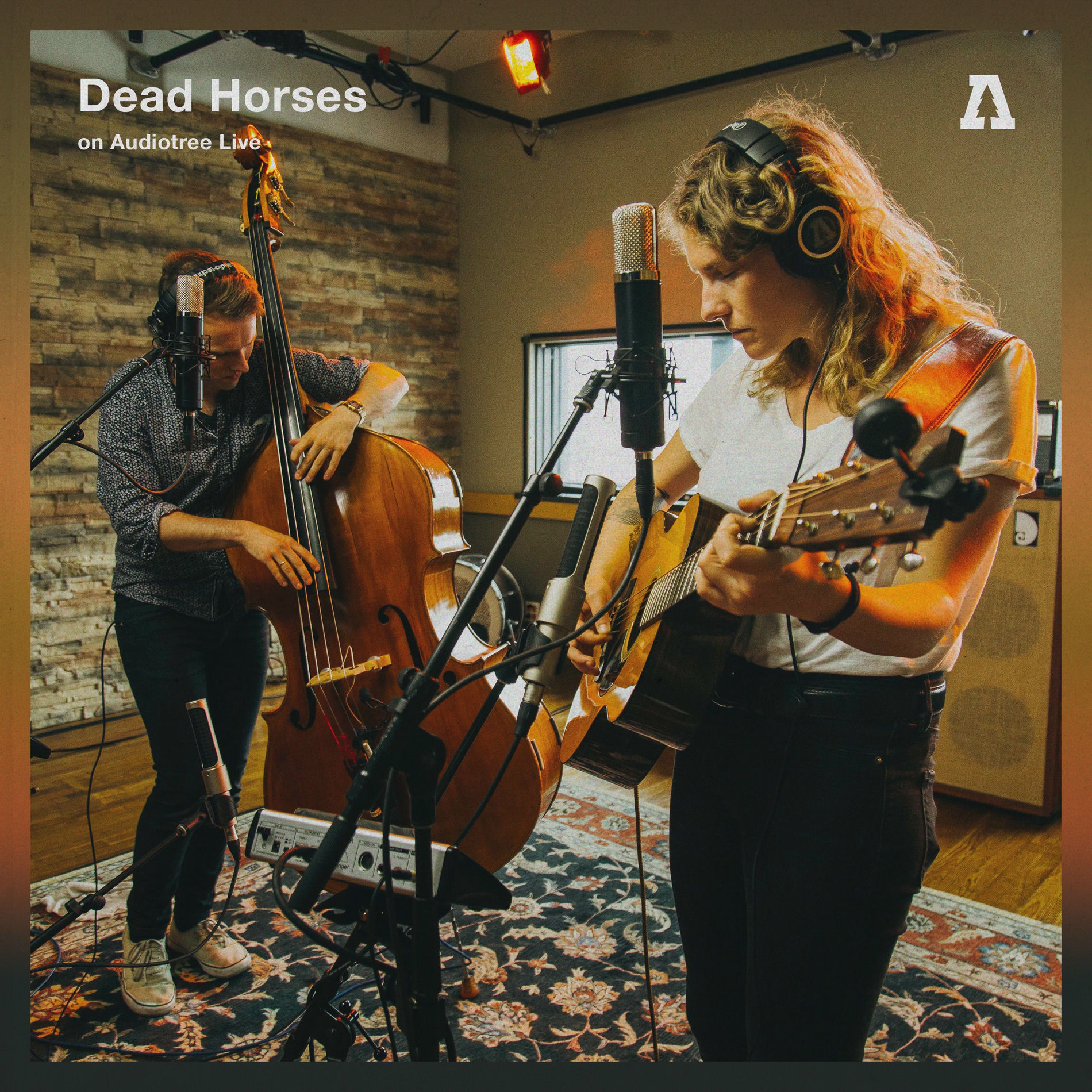 Album cover of Dead Horses (Audiotree Live)