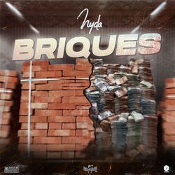 Cover of Briques