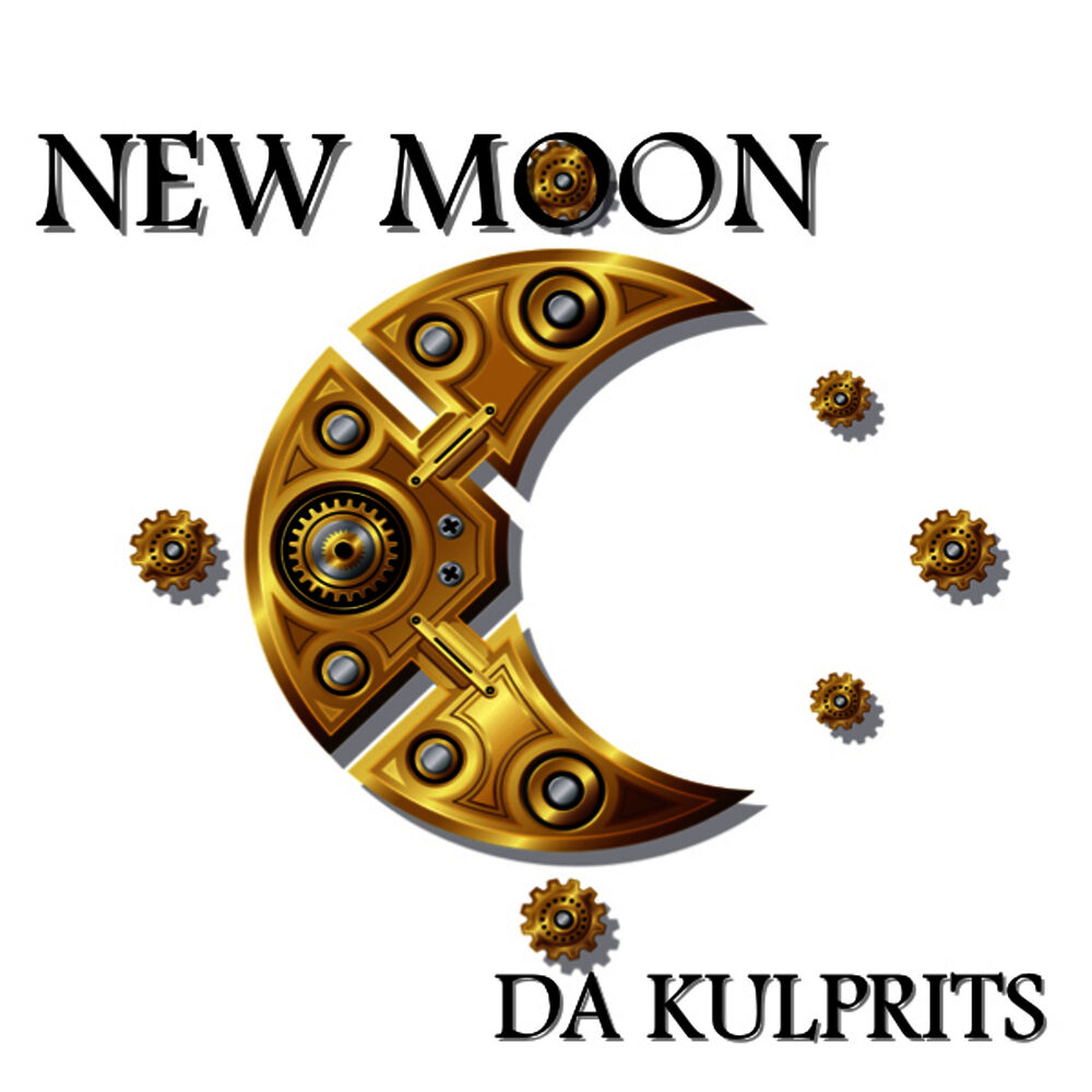 Picture of New Moon