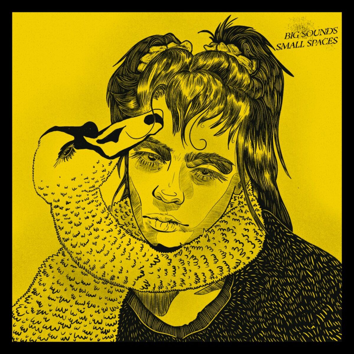 Album cover of Bonk