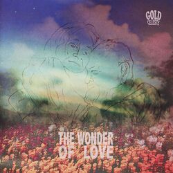 Cover of The Wonder of Love