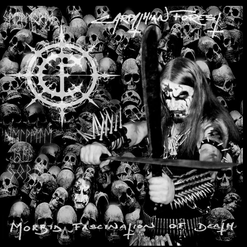 Picture of Morbid Fascination Of Death