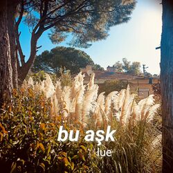 Cover of Bu Aşk