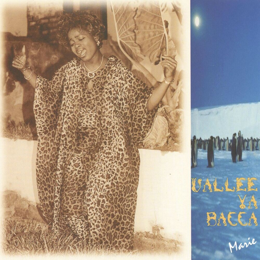 Picture of Vallée ya bacca
