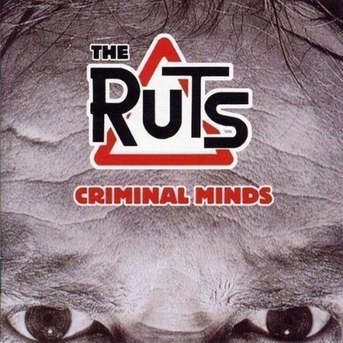 Album cover of Criminal Minds