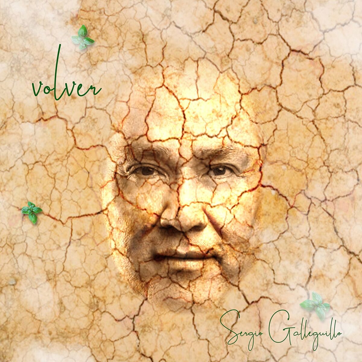 Album cover of Volver