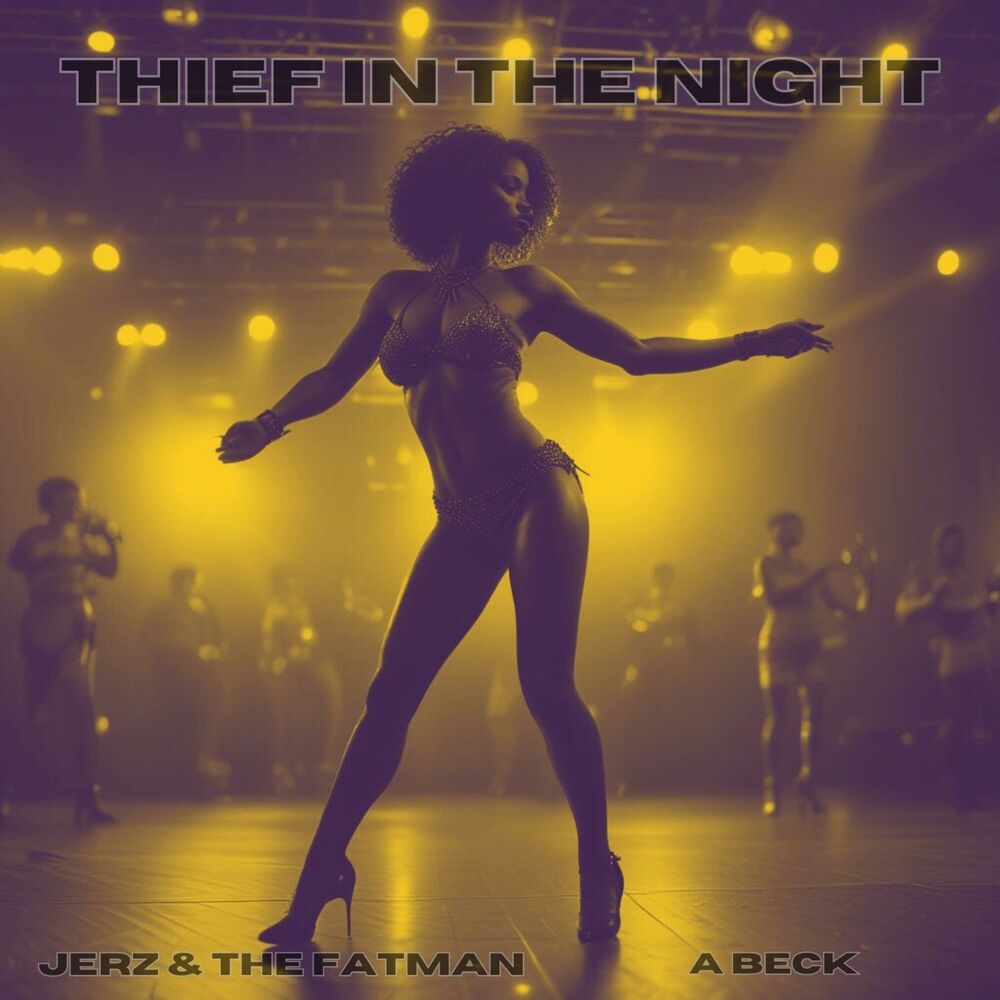 Picture of THIEF IN THE NIGHT