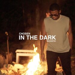Cover of in the dark (acoustic)