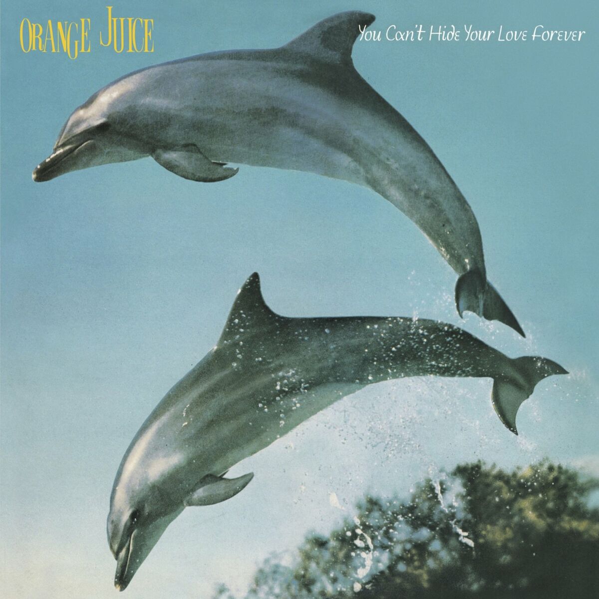 Album cover of Consolation Prize
