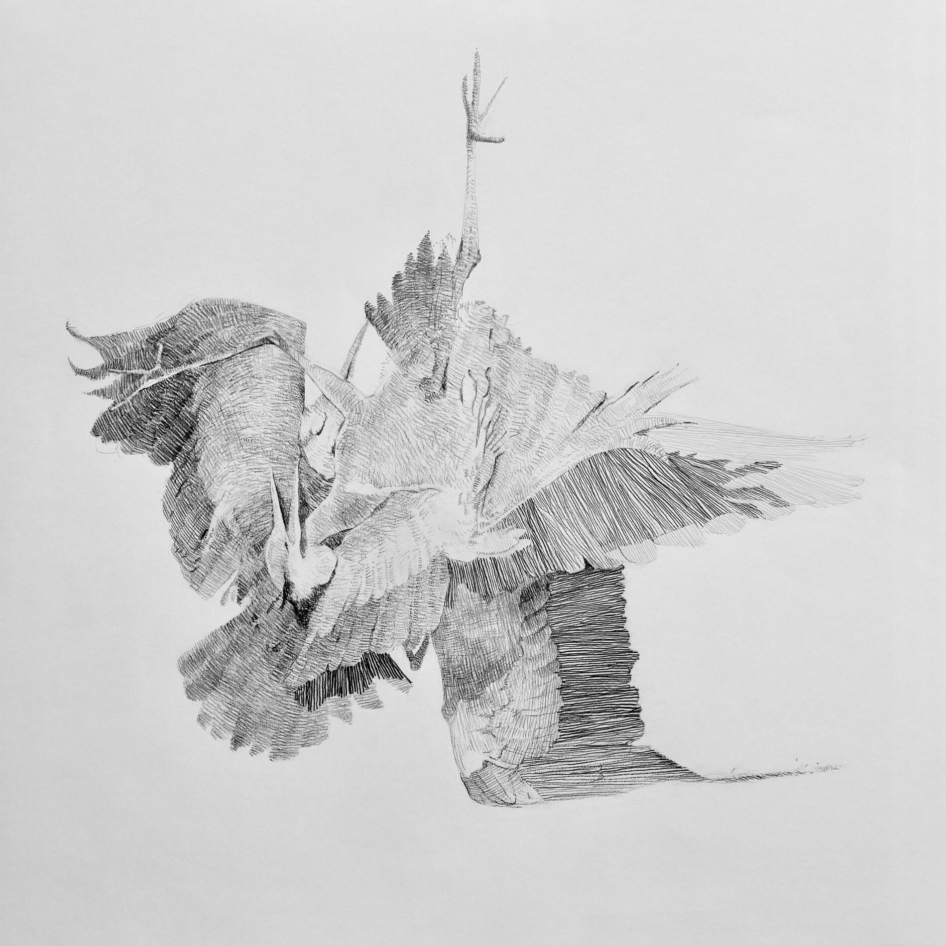 Album cover of Destroyed Guitars