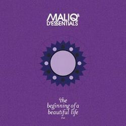 Cover of The Beginning Of A Beautiful Life
