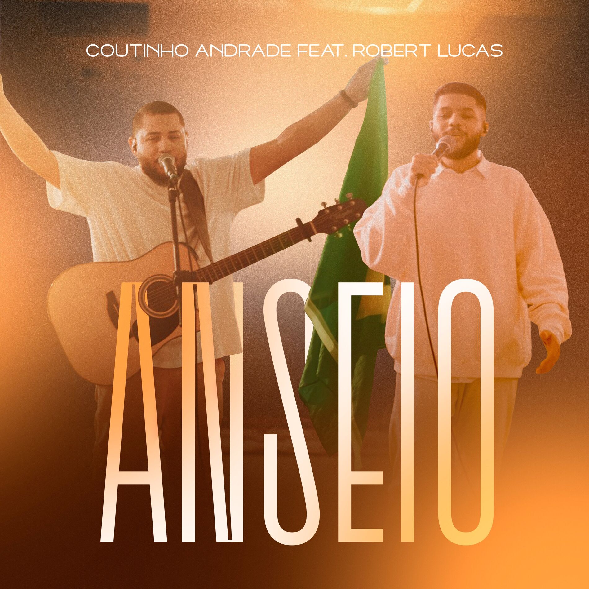 Album cover of Anseio