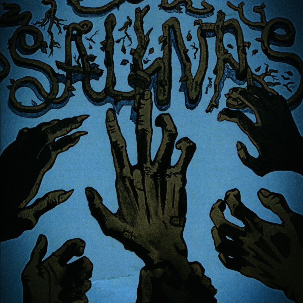 Picture of Salinas