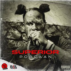 Cover of Superior