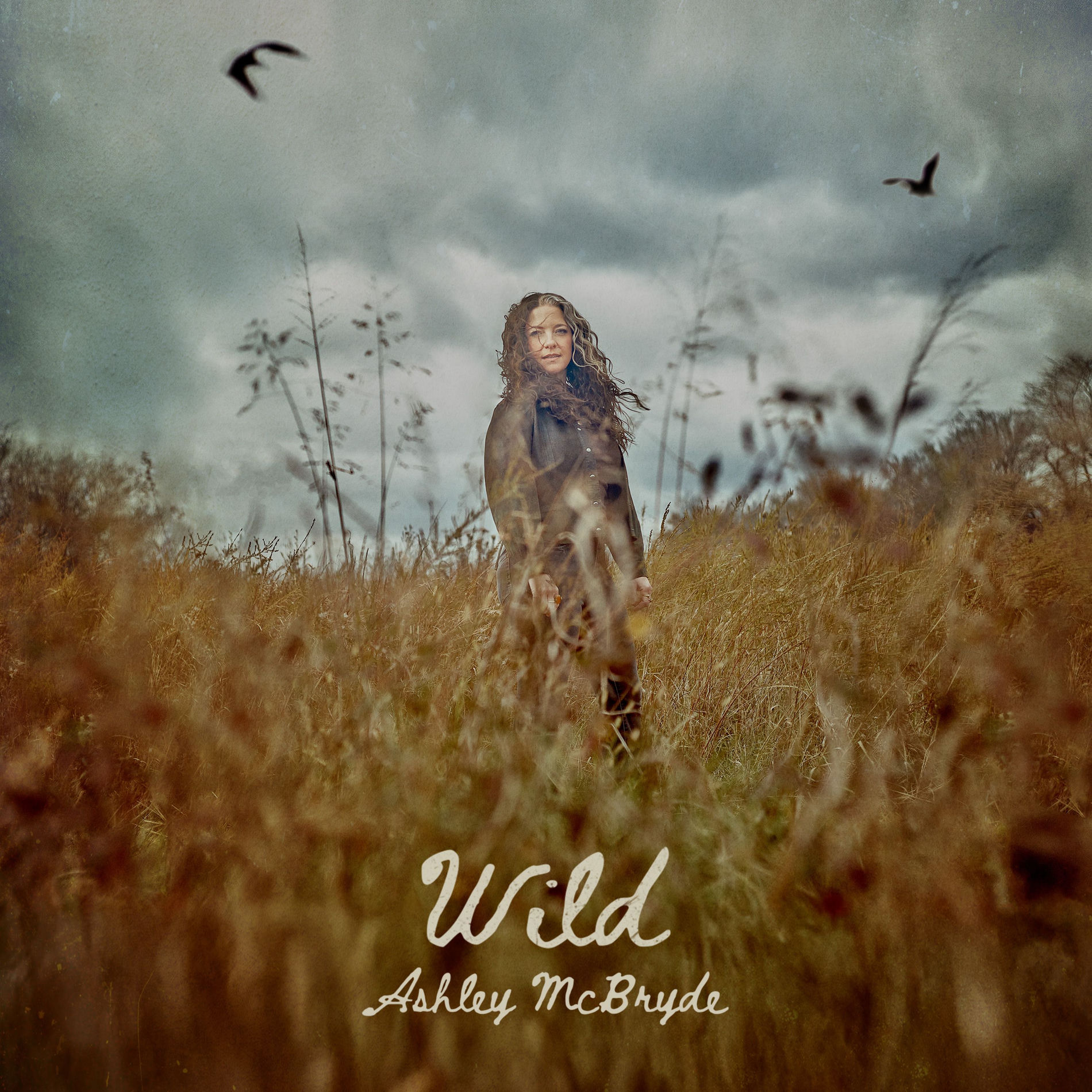 Album cover of Wild