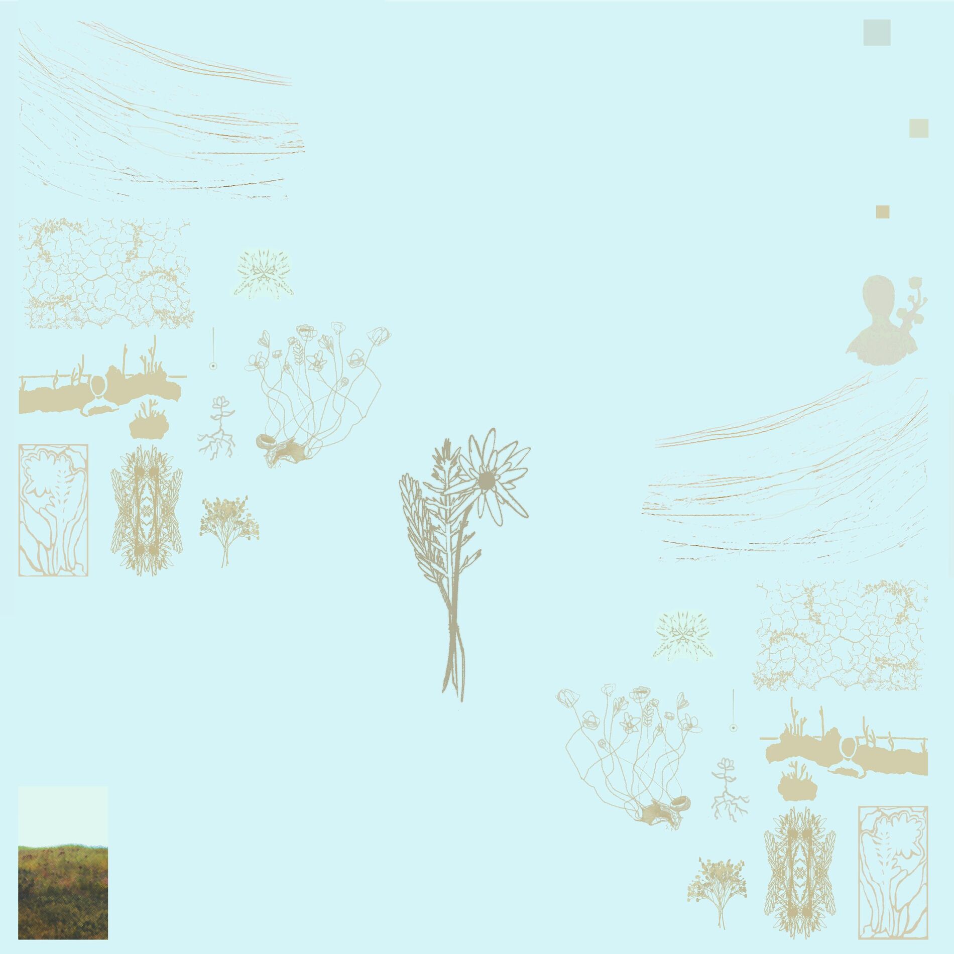 Album cover of Rue