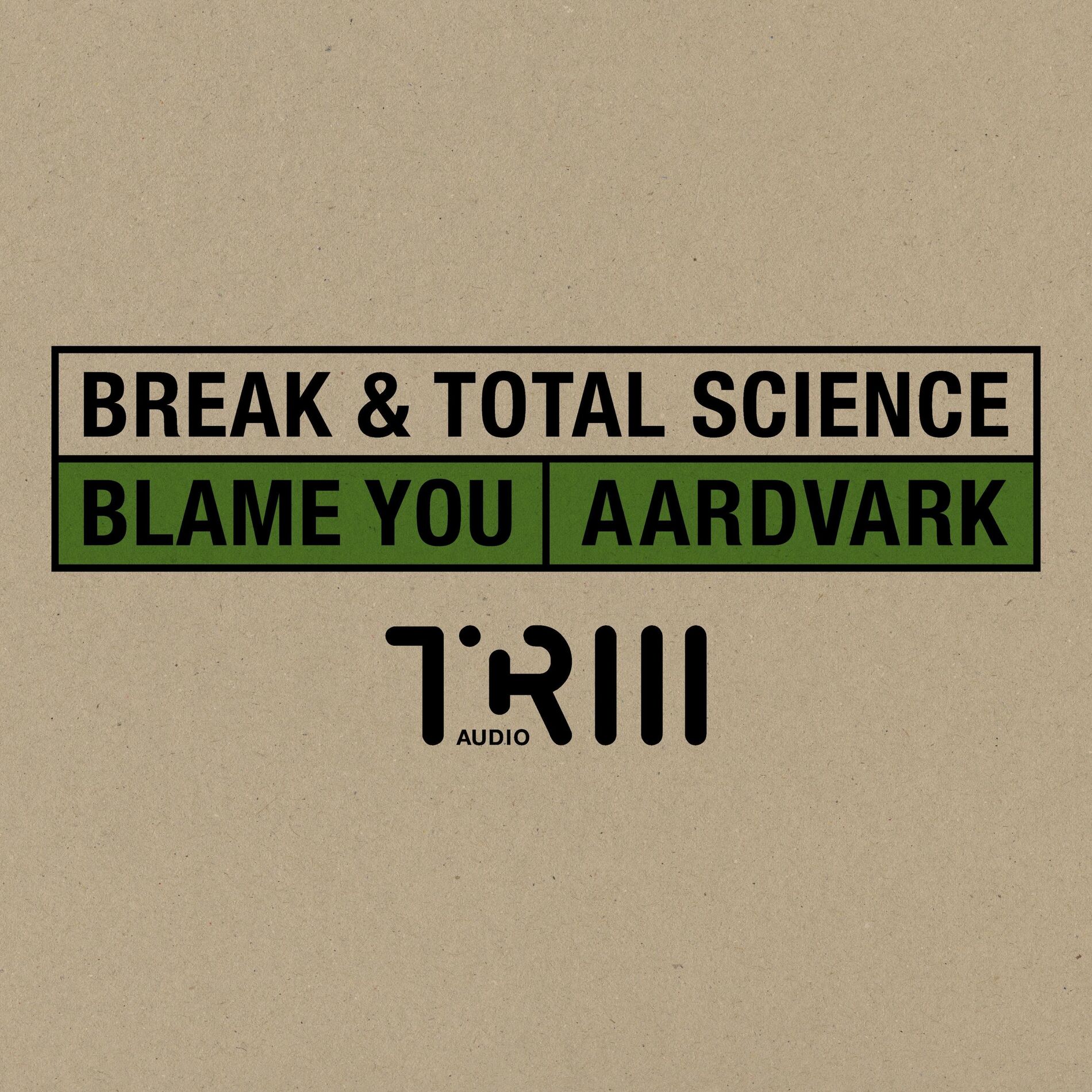 Album cover of Blame You