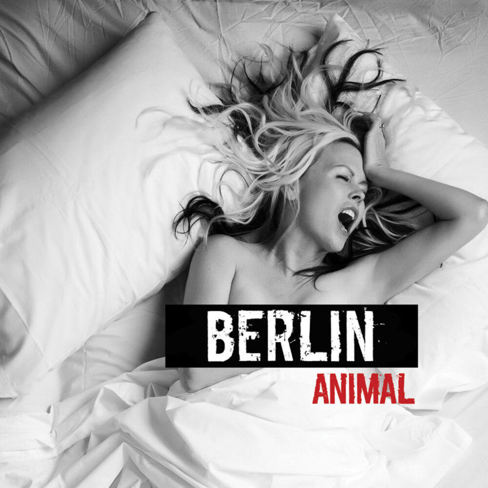 Picture of Animal