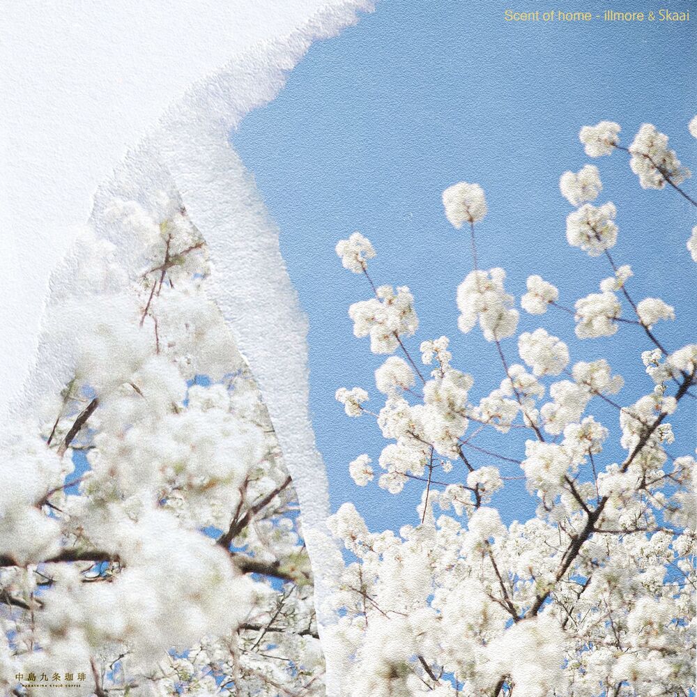 Picture of Scent of home