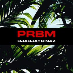 Cover of PRBM