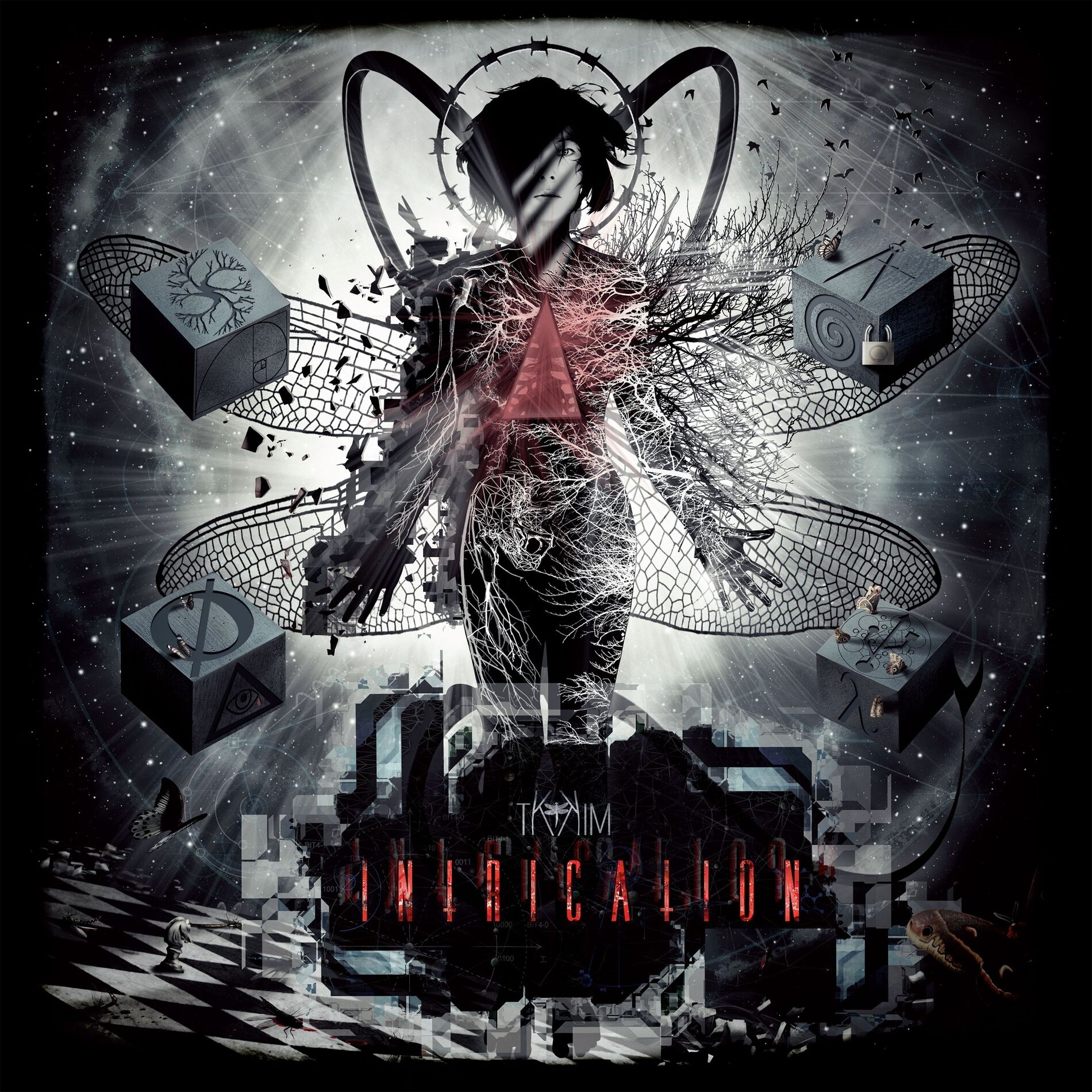 Album cover of Intrication