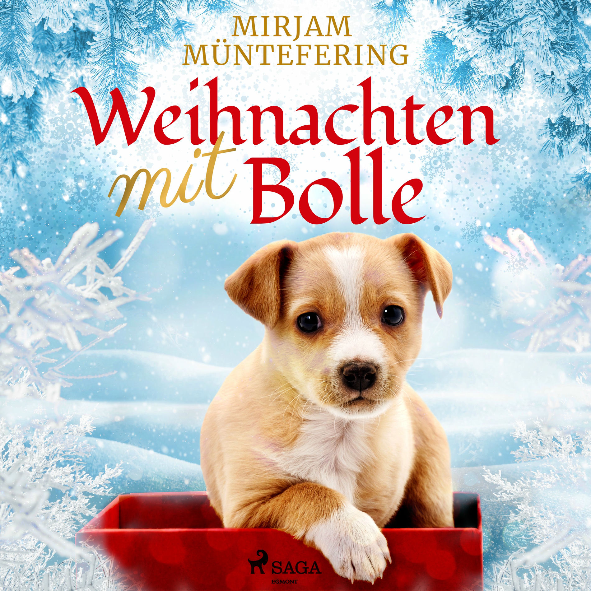 Album cover of Weihnachten mit Bolle