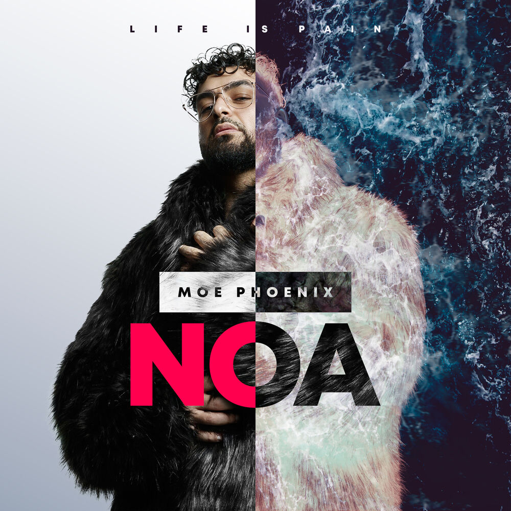 Picture of NOA