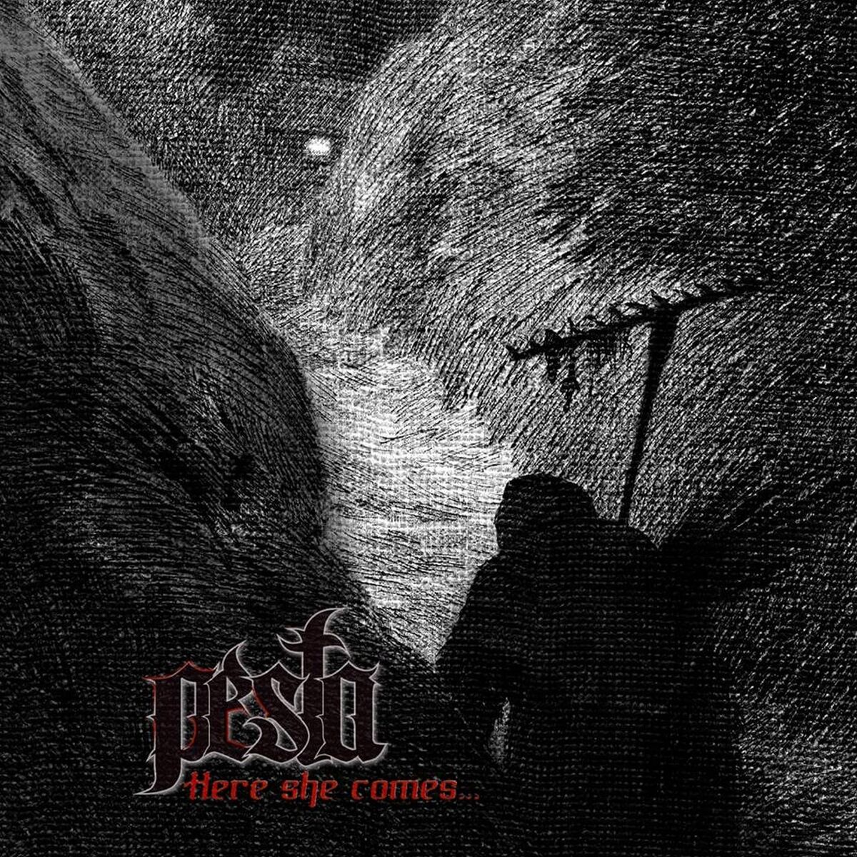 Album cover of Here she comes