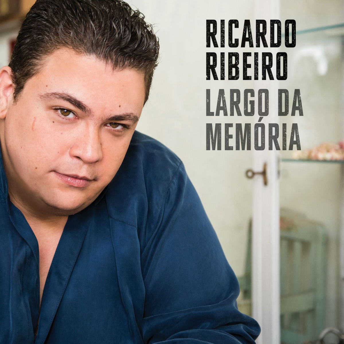 Album cover of Largo da memória