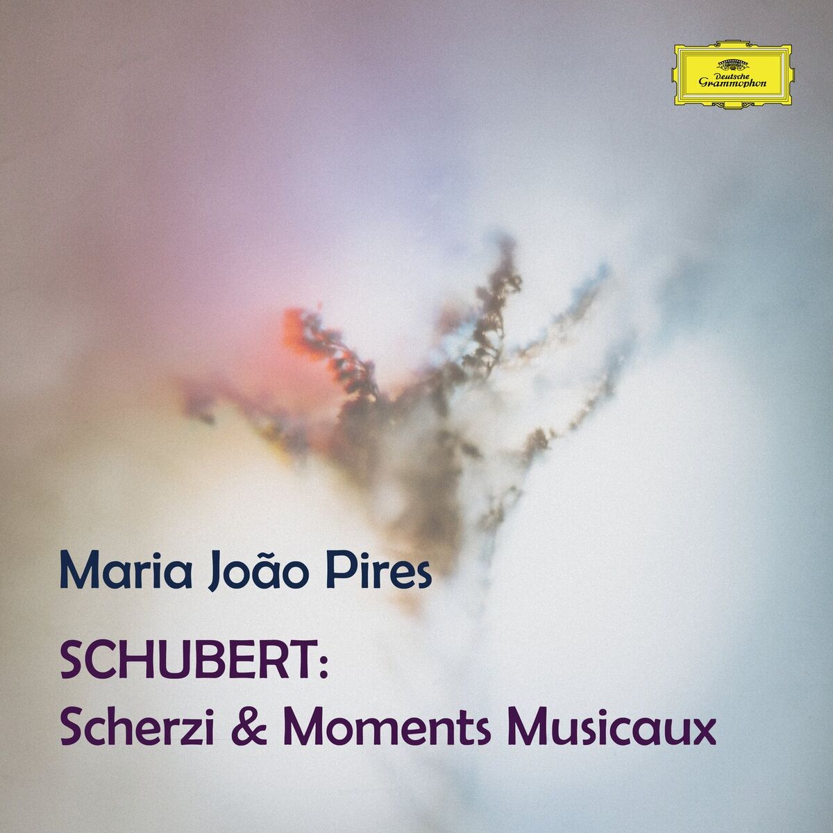 Album cover of Schubert: Scherzi & Moments Musicaux