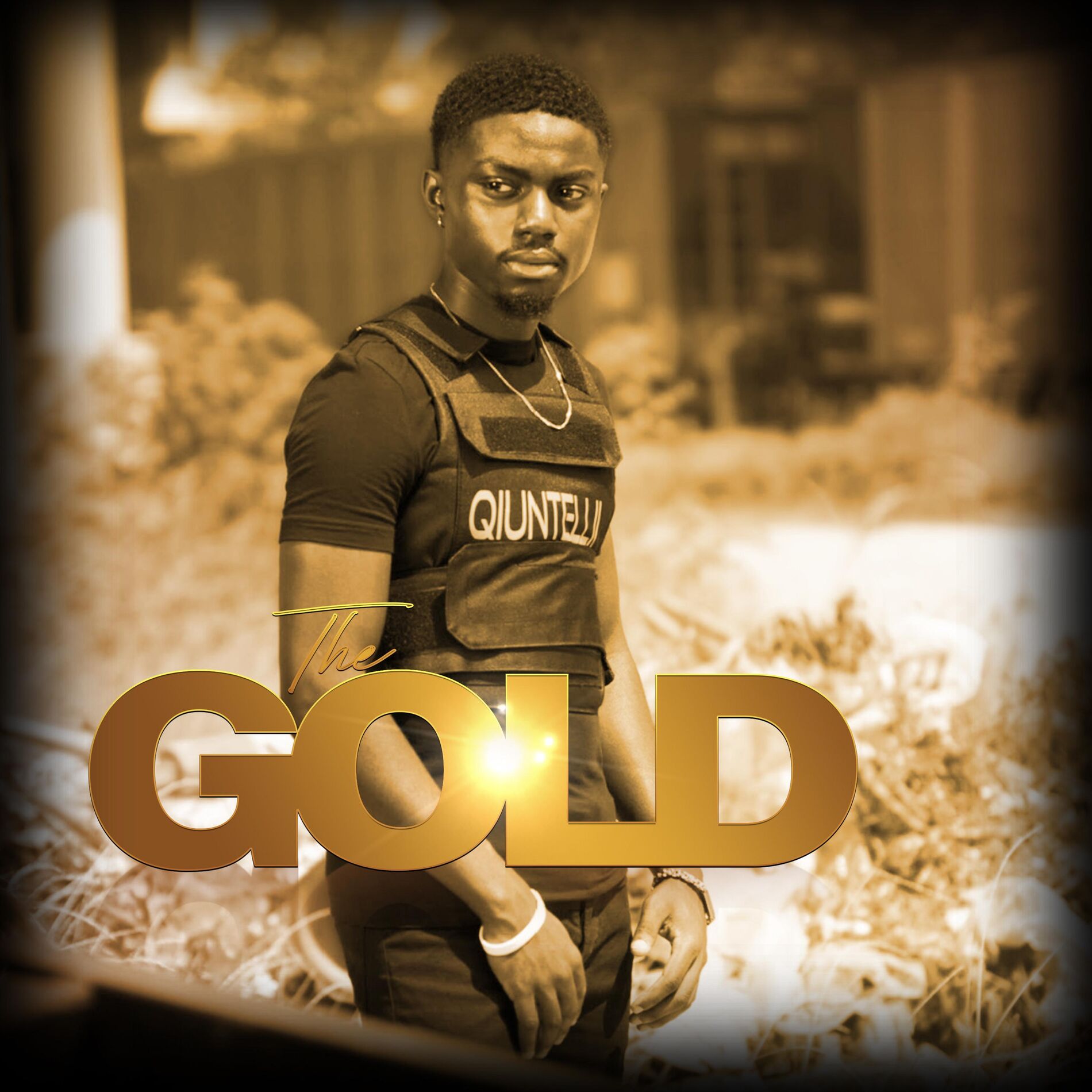 Album cover of The Gold