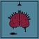 Brain Washing