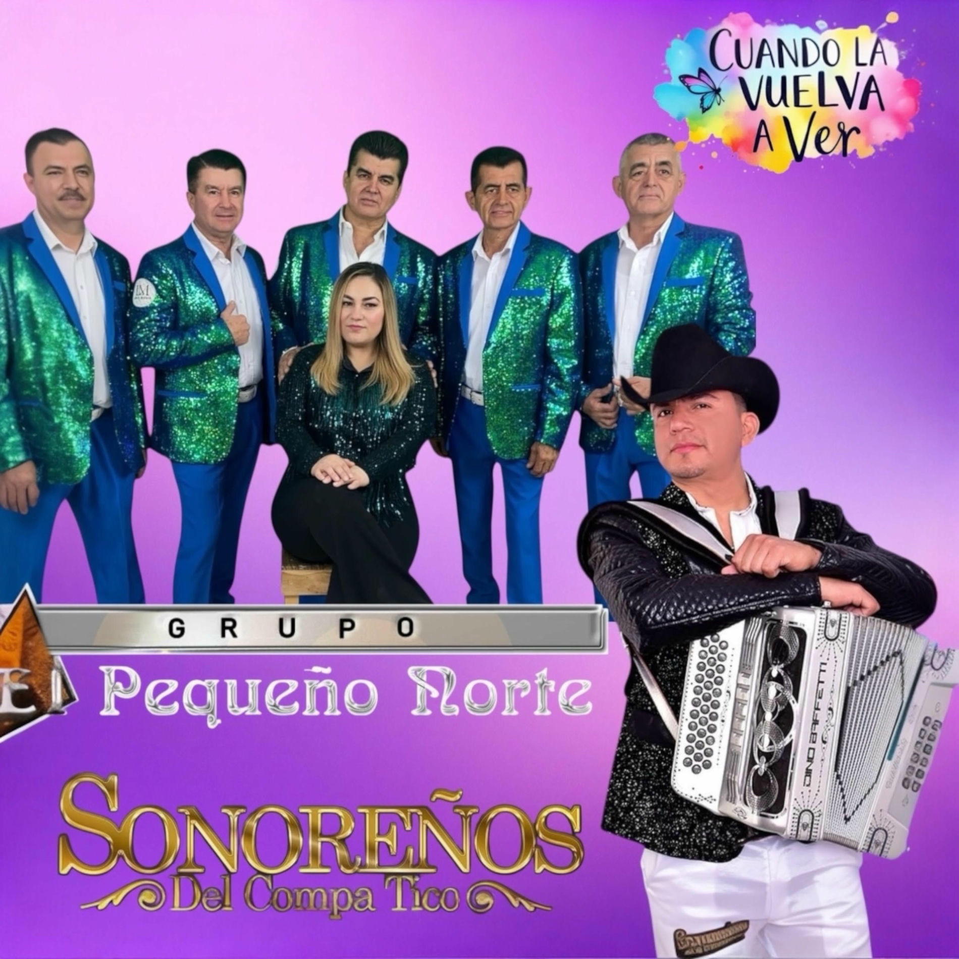 Album cover of Cuando la vuelva a ver