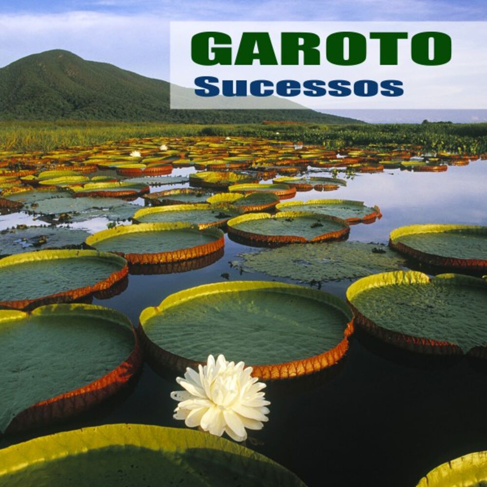 Picture of Sucessos