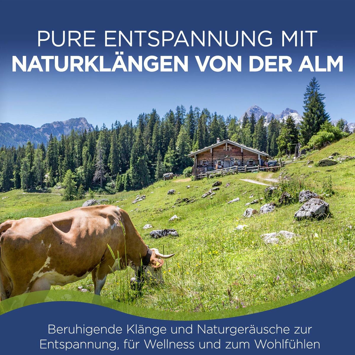 Album cover of Pure Entspannung mit Naturklängen von der Alm - Beruhigende Klänge und Naturgeräusche zur Entspannung, für Wellness und zum Wohlfü
